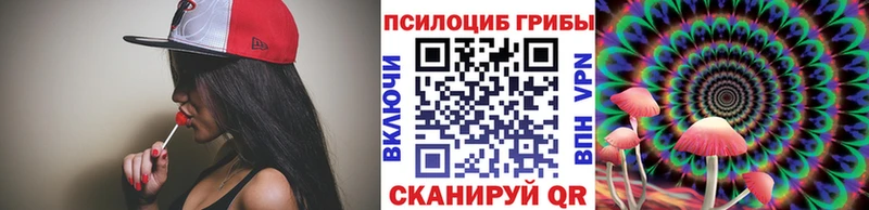 Псилоцибиновые грибы прущие грибы  магазин продажи   Реутов 